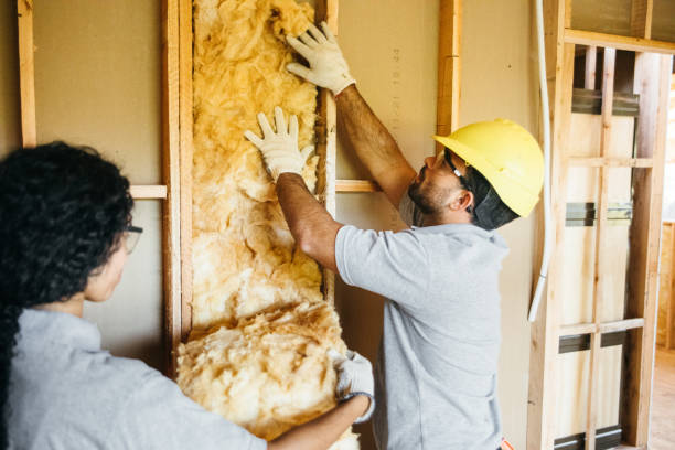 Best Attic Insulation Installation  in , IL